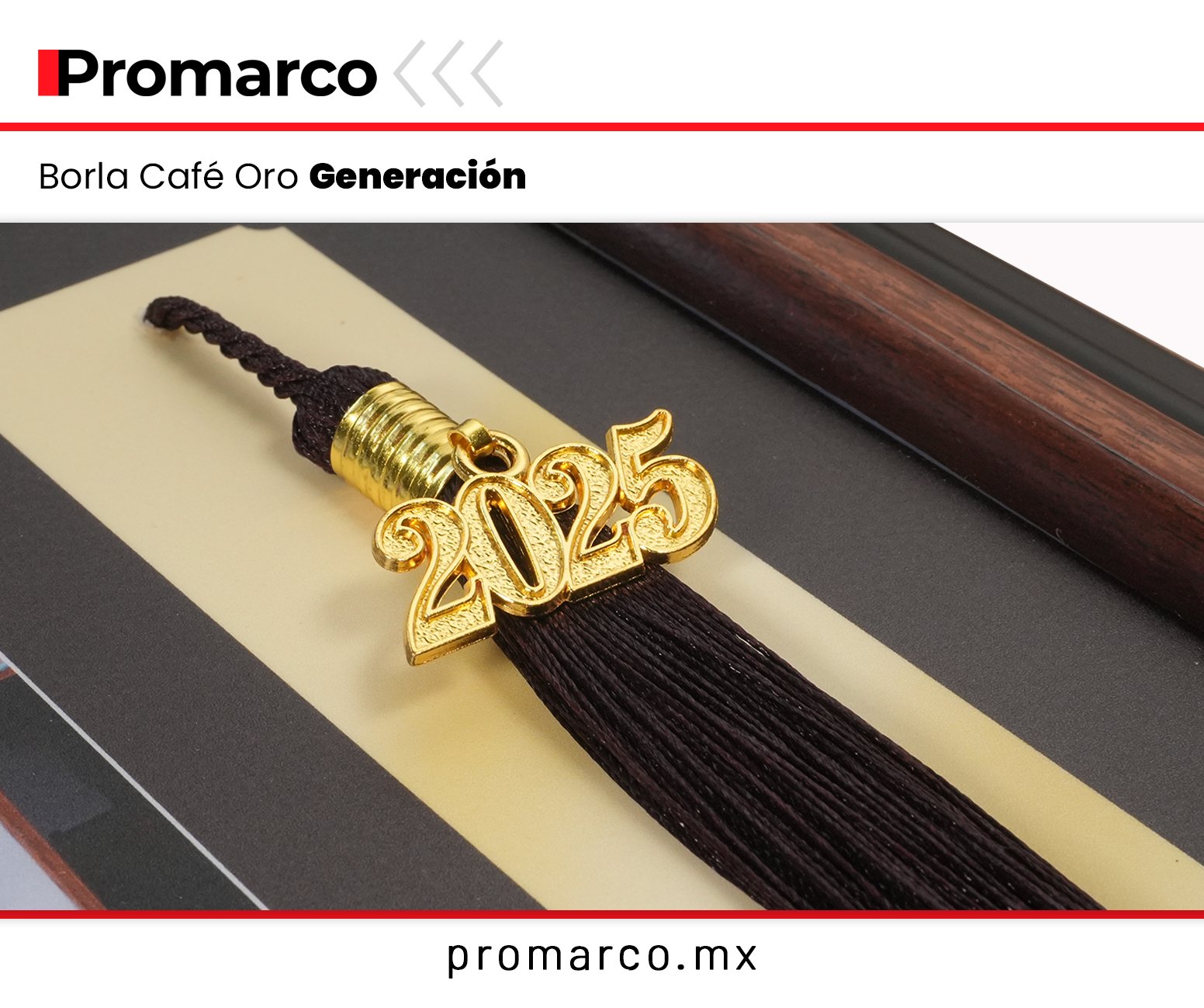 Modelo 25 Graduación