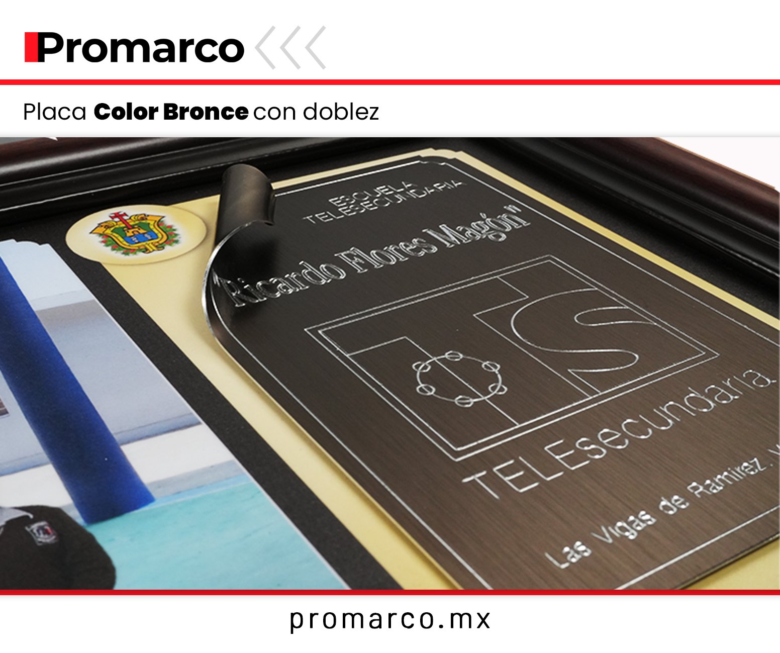 Modelo 30 Graduación
