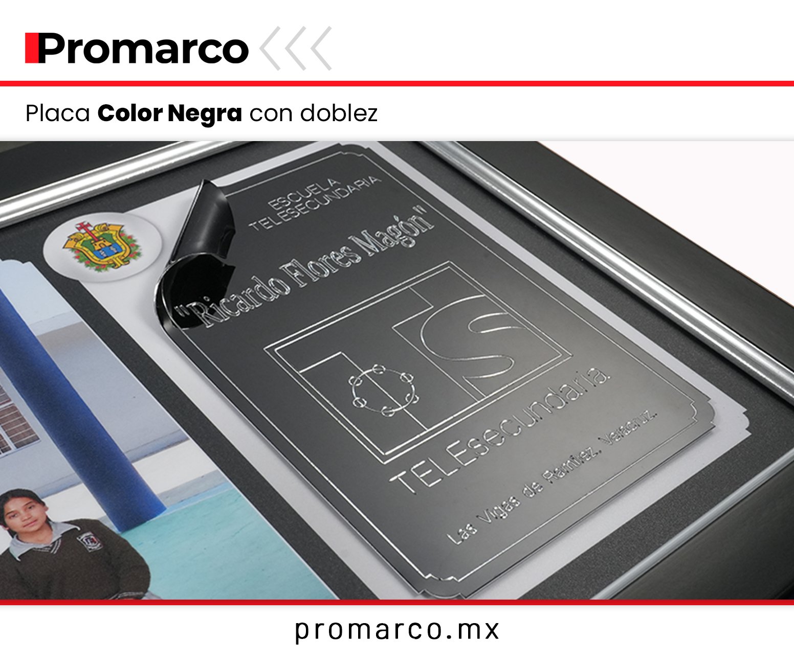 Modelo 29 Graduación