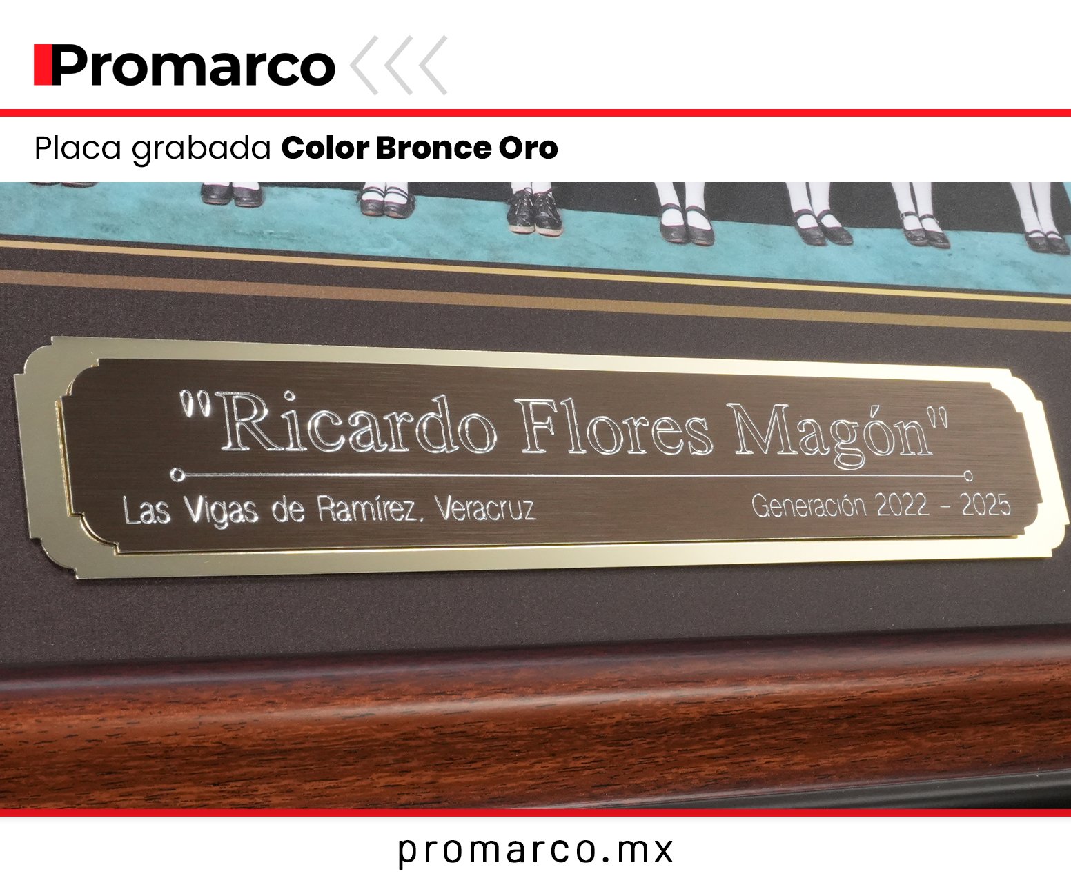 Modelo 36 Graduación